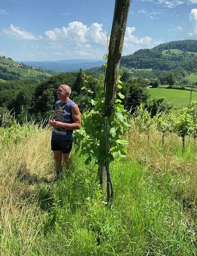 EvaKarl Schnabel15 so natural wine EvaKarl Schnabel so natural wine