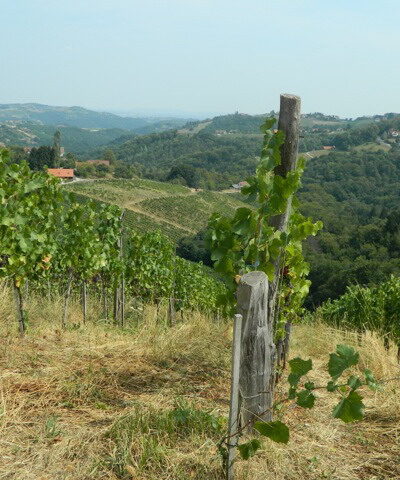 EvaKarl Schnabel16 so natural wine EvaKarl Schnabel so natural wine