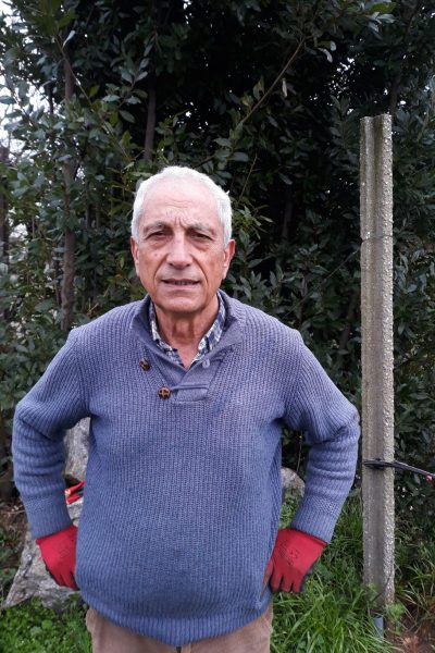 Palmirinha1 so natural wine Palmirinha so natural wine