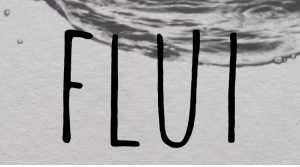 logo_flui