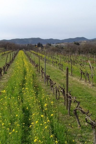 Sylvain Bock3 so natural wine Sylvain Bock so natural wine