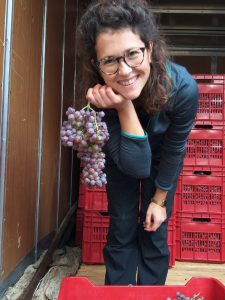 Il Roccolo di Monticelli8 so natural wine Il Roccolo di Monticelli so natural wine