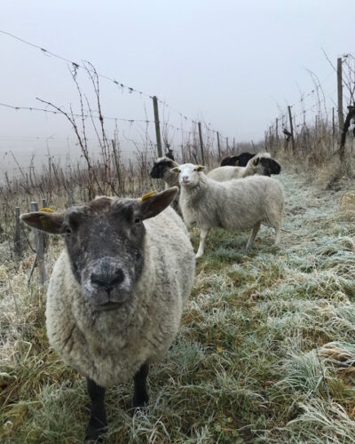 La Grange 3 La Grange 3