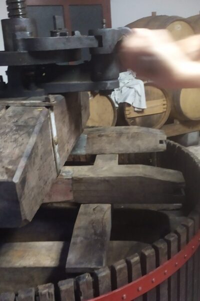 XavierMarchais4 XavierMarchais4