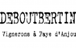 logo deboutbertin 80-100 logo deboutbertin 80-100