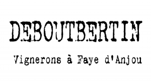 logo deboutbertin 80-100