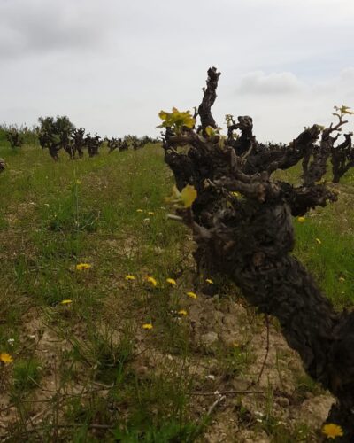 Bodega Clandestina6 Bodega Clandestina6