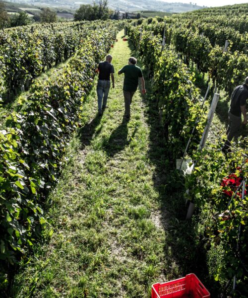 Gian Luca Colombo 1 Gian Luca Colombo 1