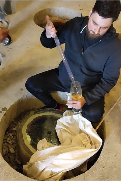 Meskhishvili Family Winery10 Meskhishvili Family Winery10