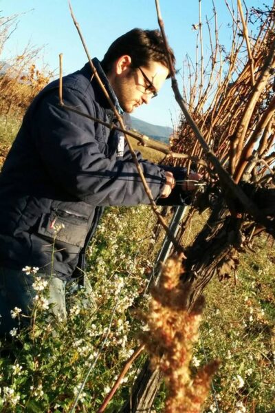 Celler Sanromà 1 Celler Sanromà 1