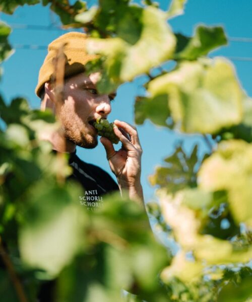 Dominik Held 3 Dominik Held 3