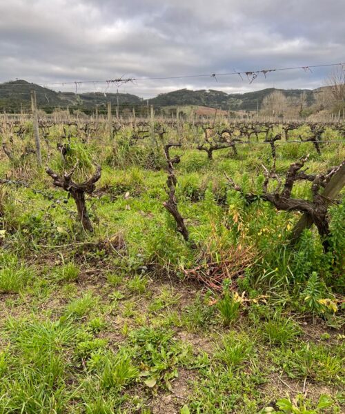 Ermegeira 6 Ermegeira 6