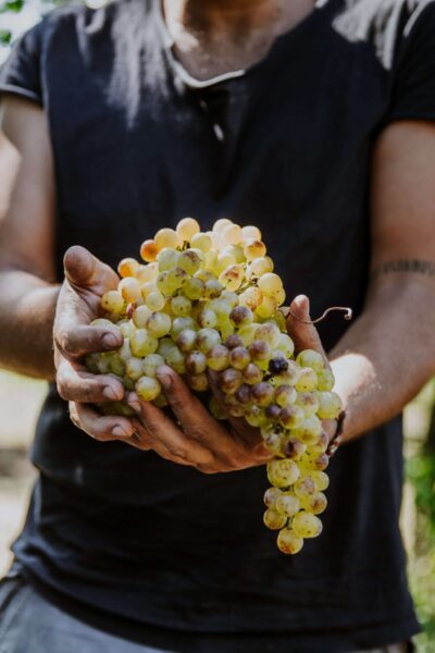 Progetto Sete Lazio 3 Progetto Sete Lazio 3