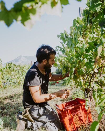 Progetto Sete Lazio 4 Progetto Sete Lazio 4