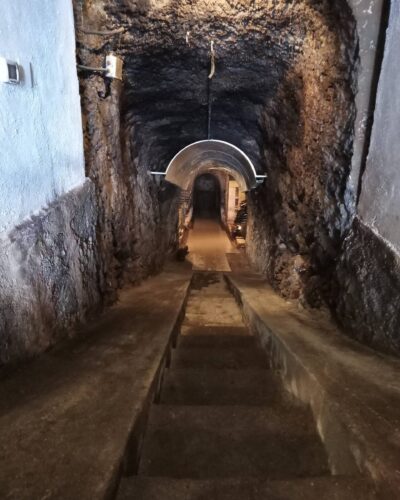 down into the cellar 1 down into the cellar 1