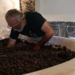 cantina ortaccio in the cellar 2