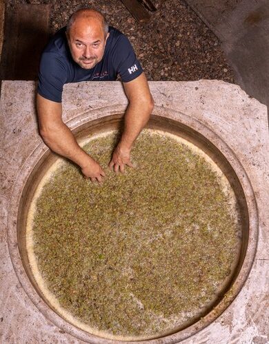 Benjamin Zidarich Benjamin Zidarich