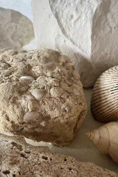 Champagne Bonnet Ponson Chamery Champagne Bonnet Ponson Chamery