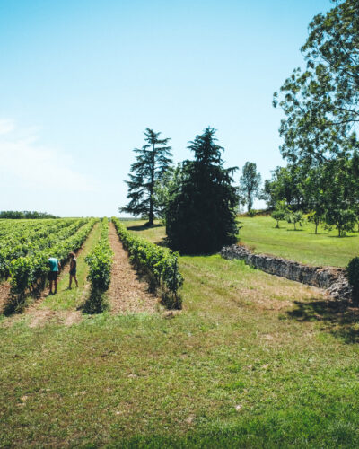 Domaine Gayrard 3 Domaine Gayrard 3