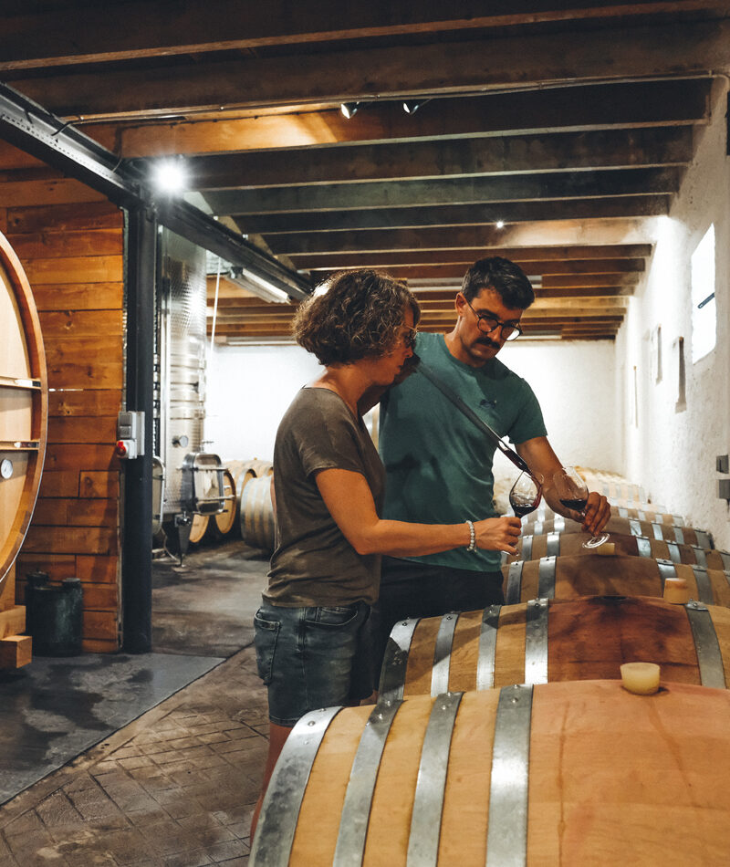 Domaine Gayrard 7 Domaine Gayrard 7