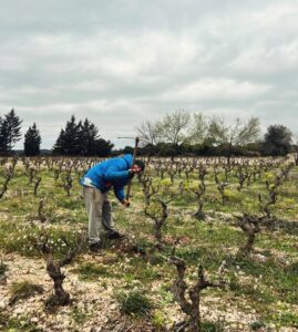 natwine-aficionados-le-petit-gimios-1