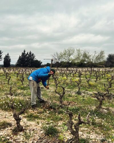 natwine-aficionados-le-petit-gimios-1 natwine-aficionados-le-petit-gimios-1