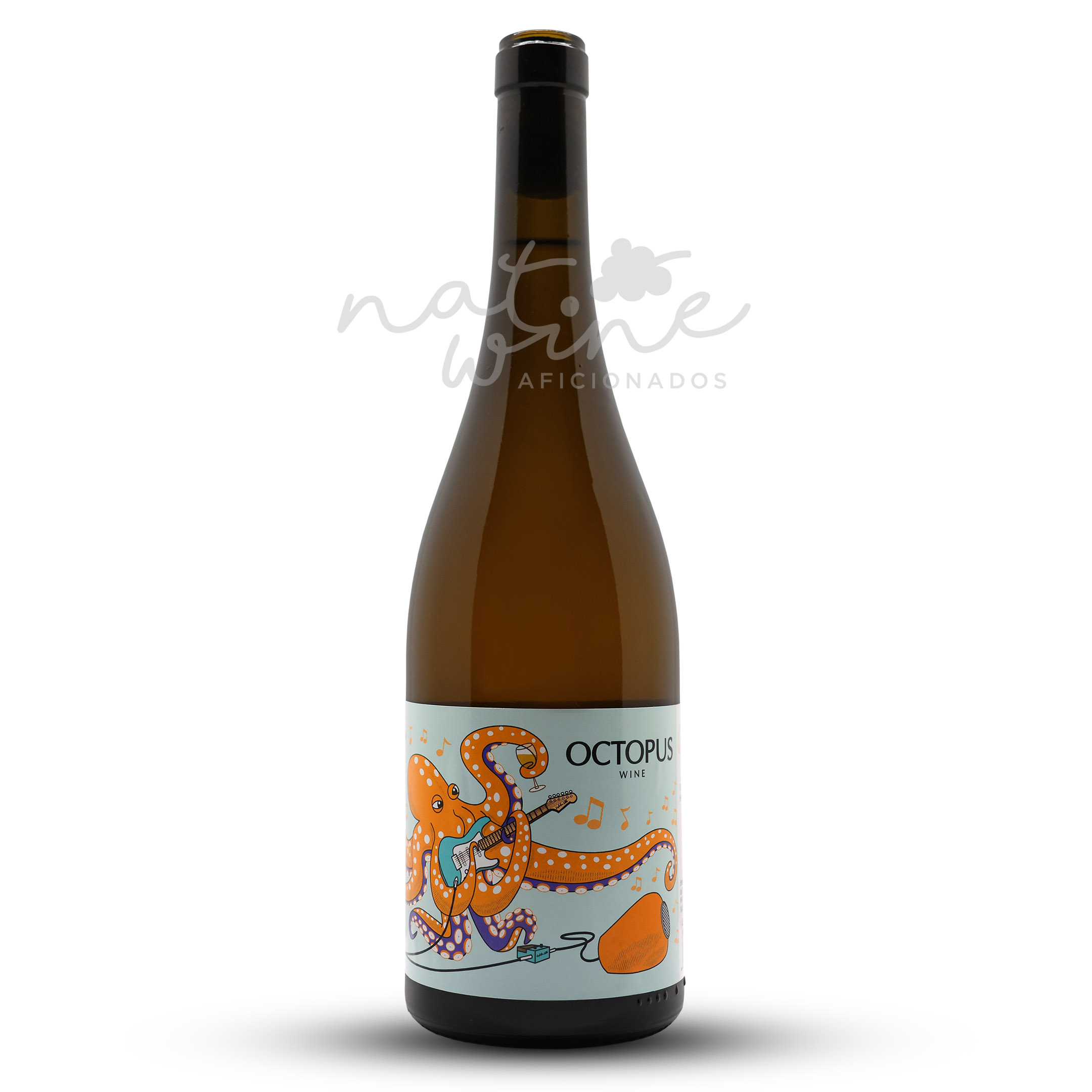 Constantina Sotelo octopus