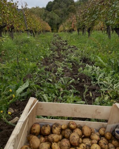 La Chaume Des Lies 1 La Chaume Des Lies 1