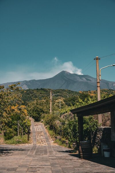 I Vigneri di Salvo Foti & Figli 4 I Vigneri di Salvo Foti & Figli 4