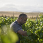 Fabio Ferracane, produtor de vinho natural em Marsala, Sicília