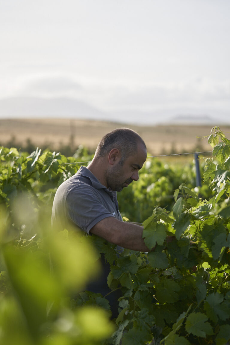 Fabio Ferracane, produtor de vinho natural em Marsala, Sicília