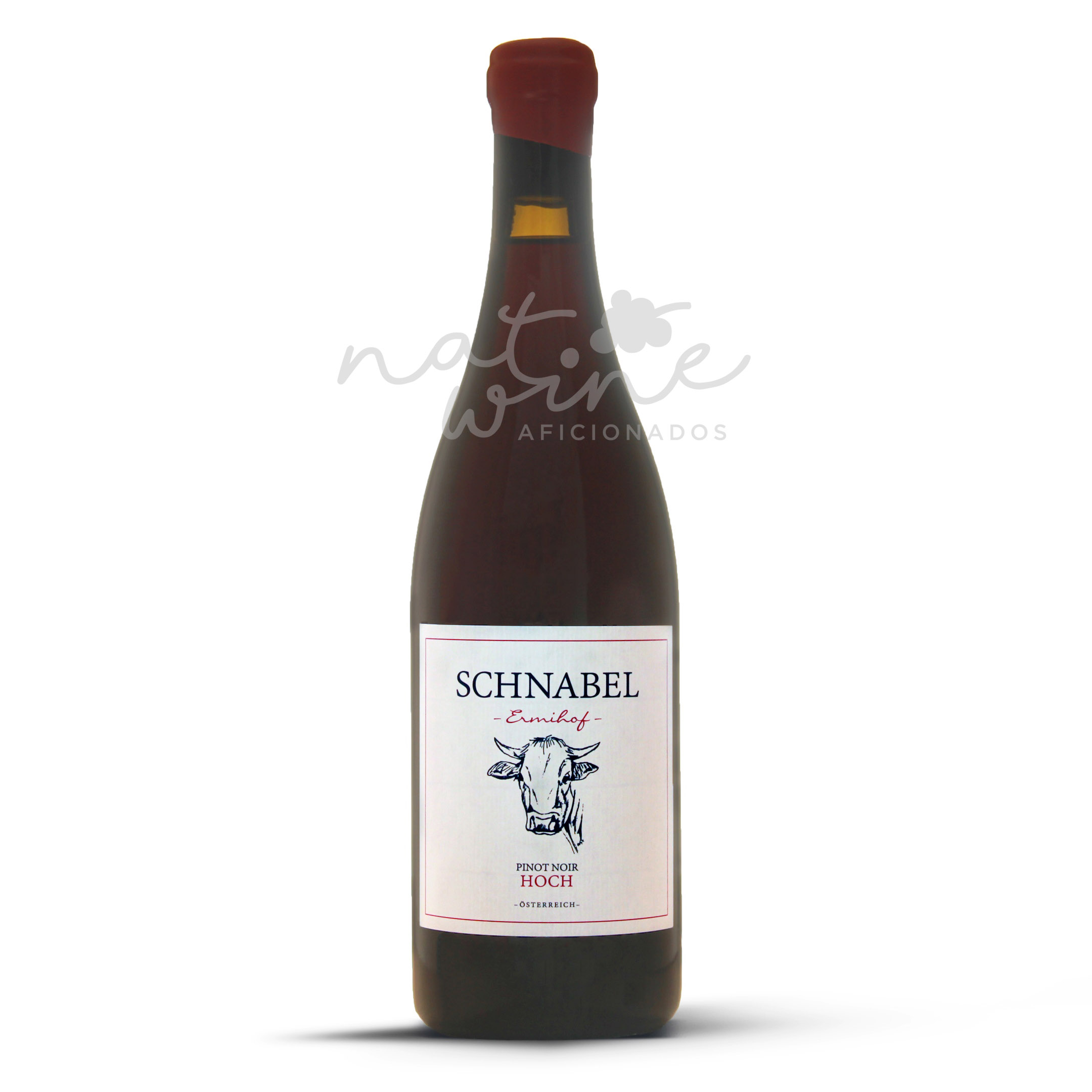 Pinot Noir Hochegg 2021